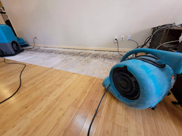 Reliable Flood Damage Restoration contractor in Toledo, OR by Hirex Water Damage